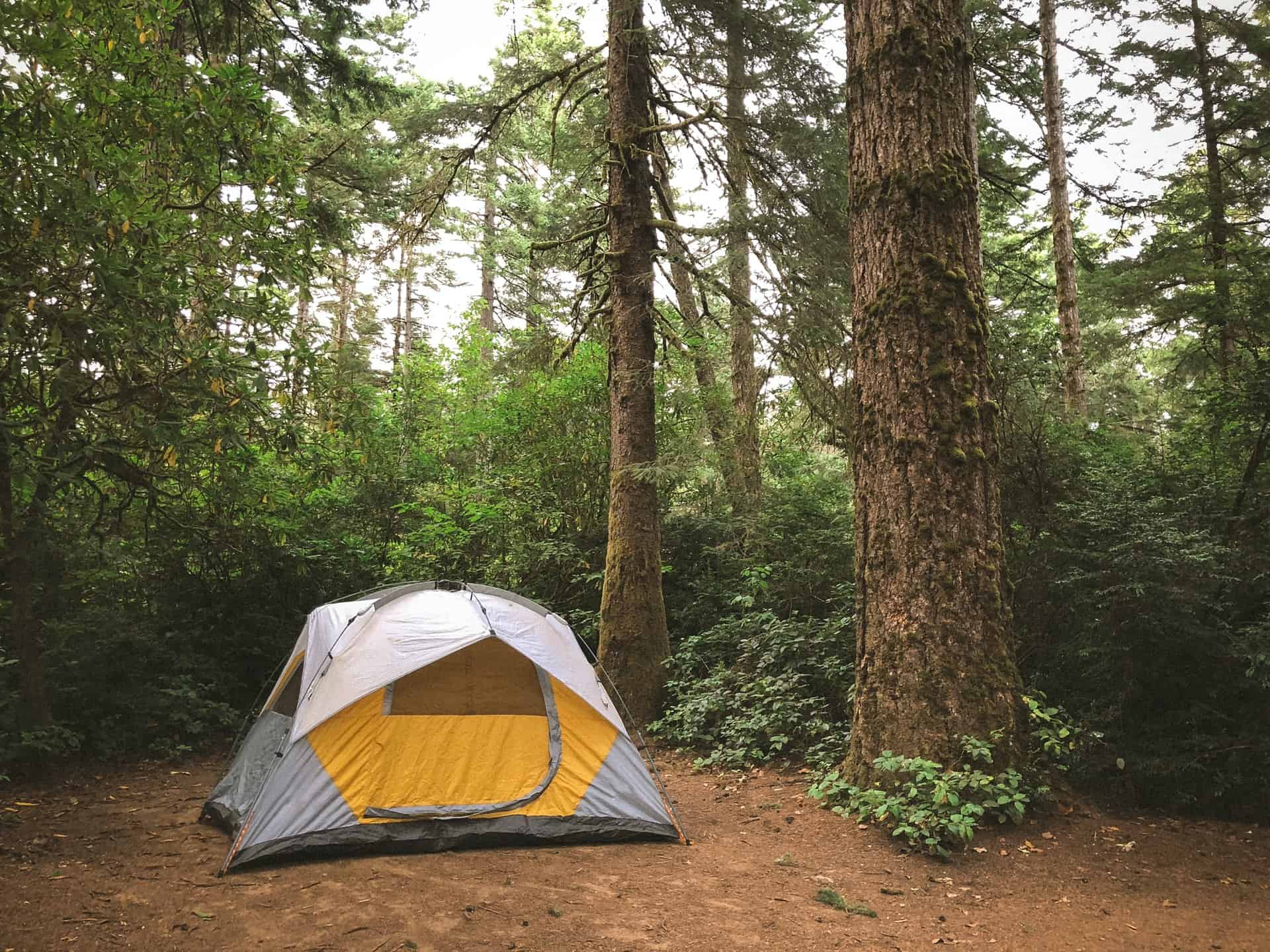 What to take in a tent? Editor’s essentials list