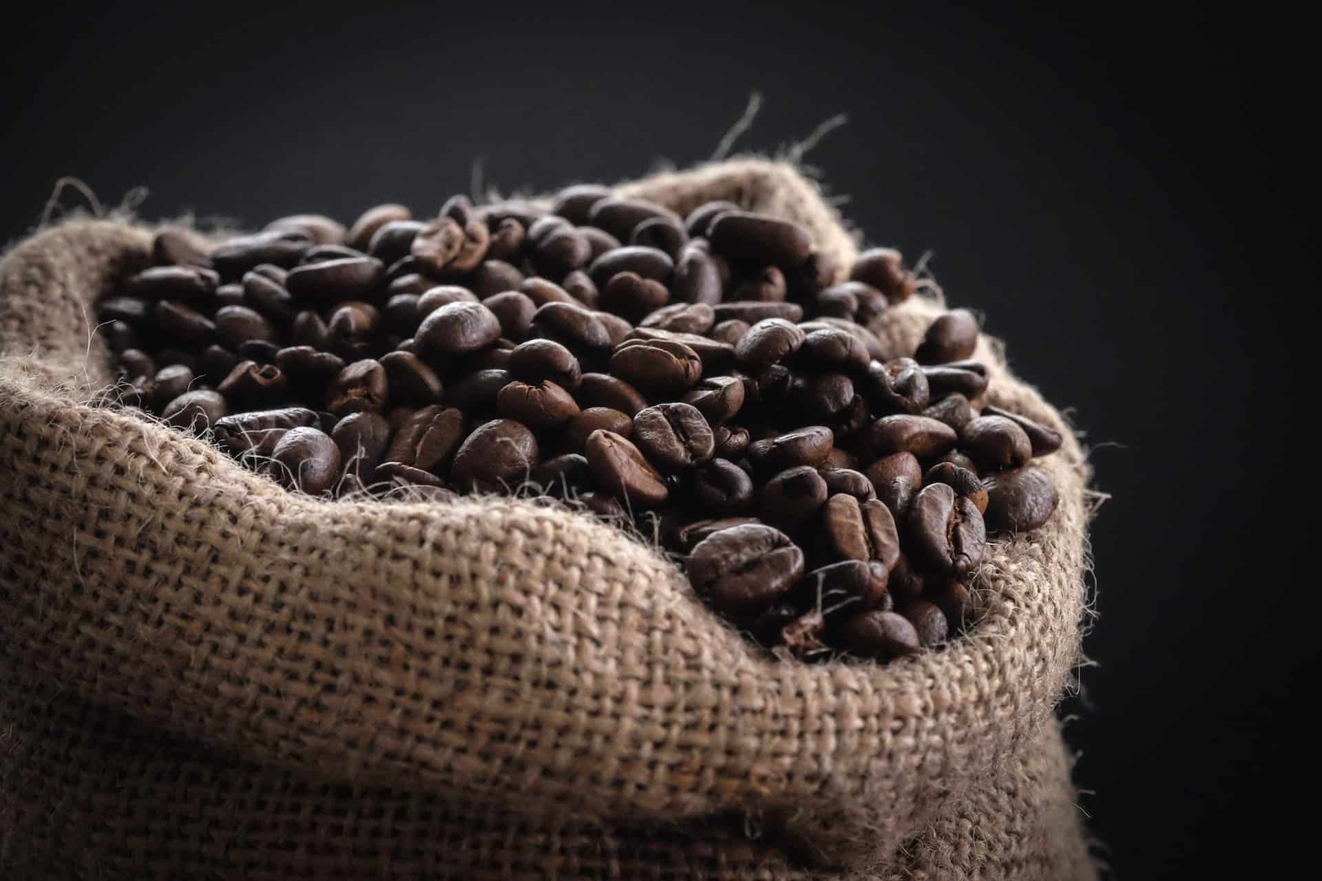 Freshly roasted coffee – why invest in it?