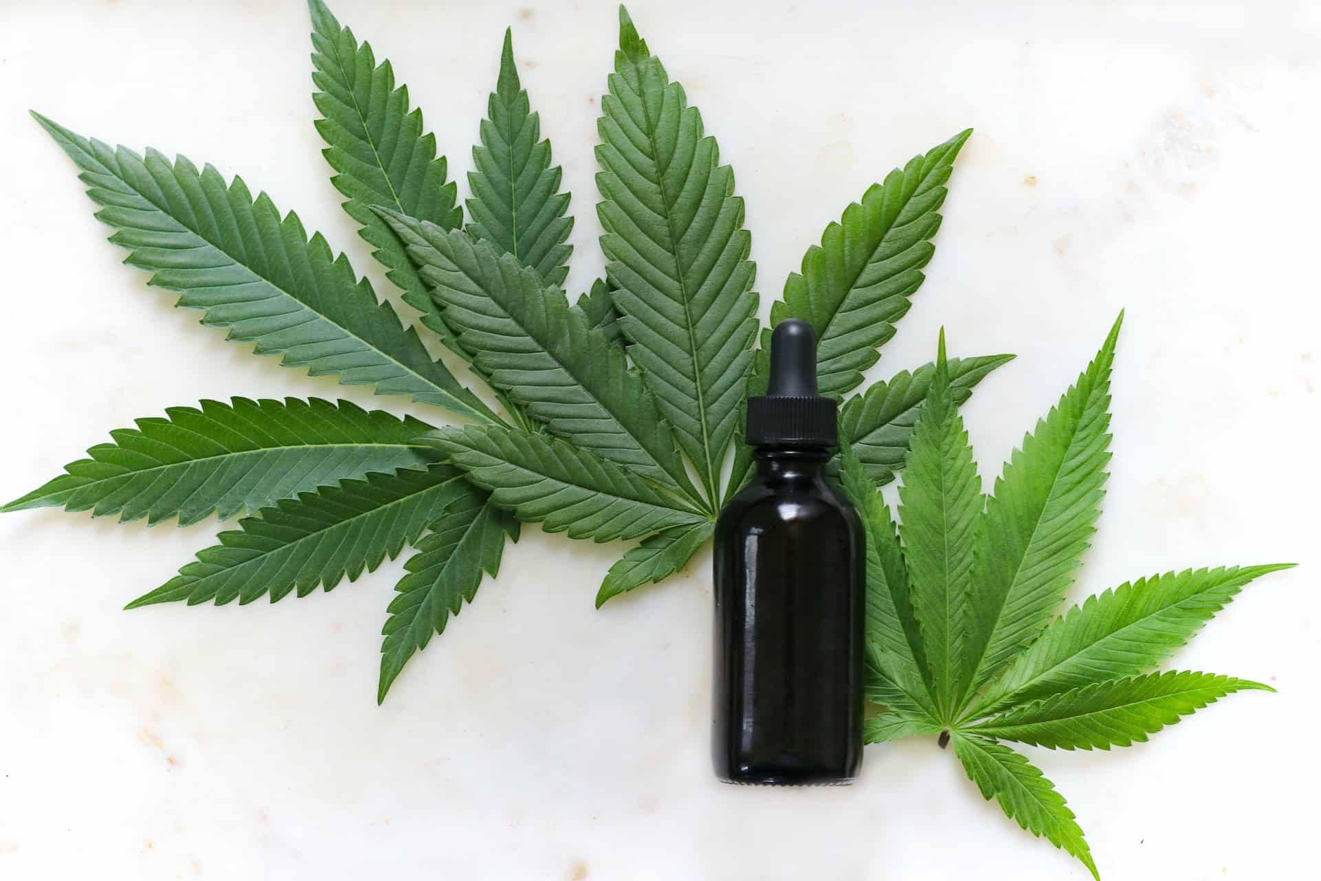 Can CBD oil really help with anxiety?